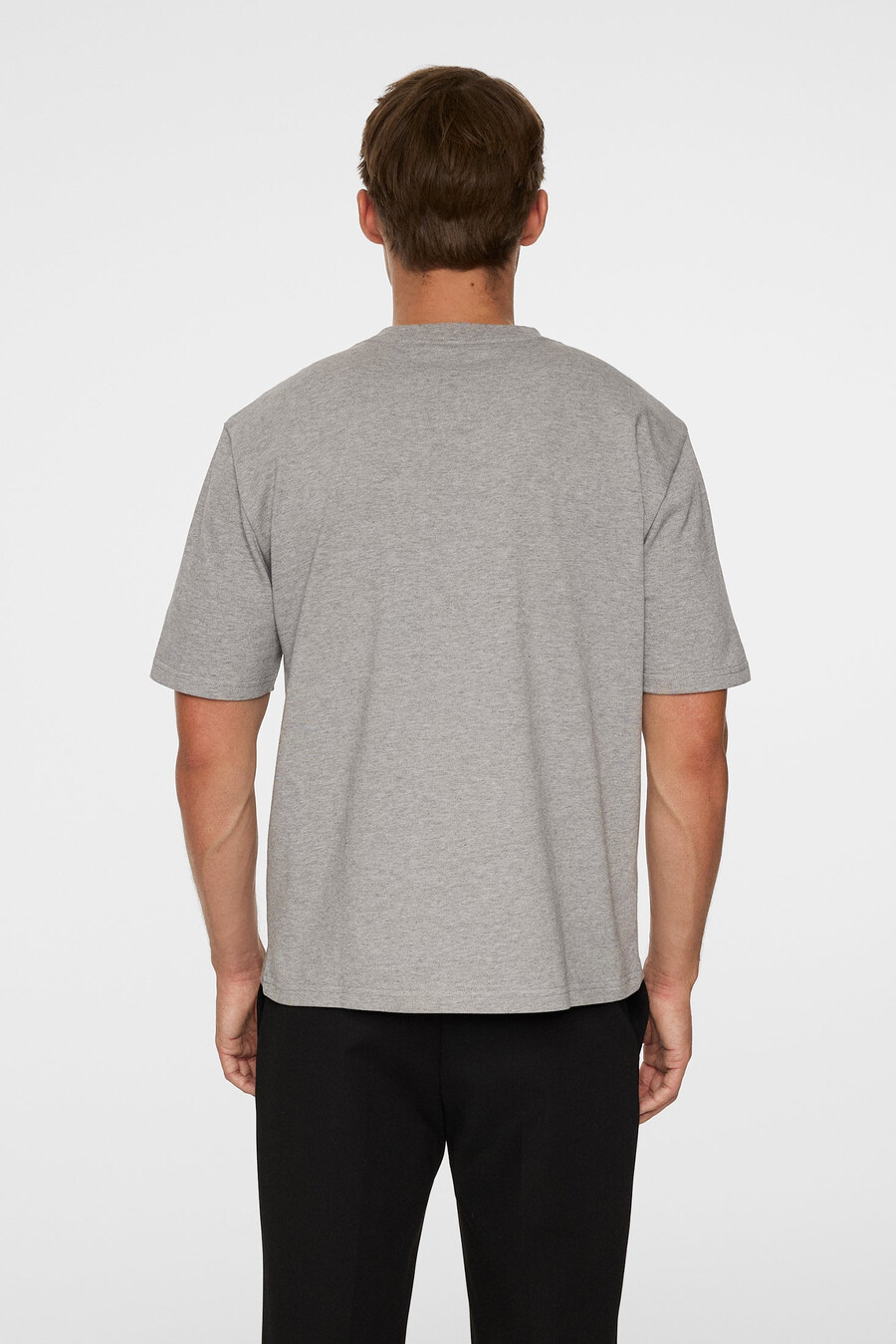 hale seasonal logo -t-paita
